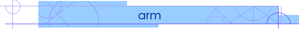 arm