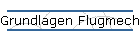 Grundlagen Flugmechanik