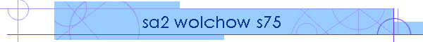 sa2 wolchow s75