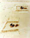 hall_o11.jpg (33808 Byte)